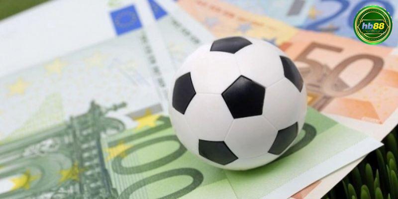 Mèo chơi kèo châu Âu hiệu quả